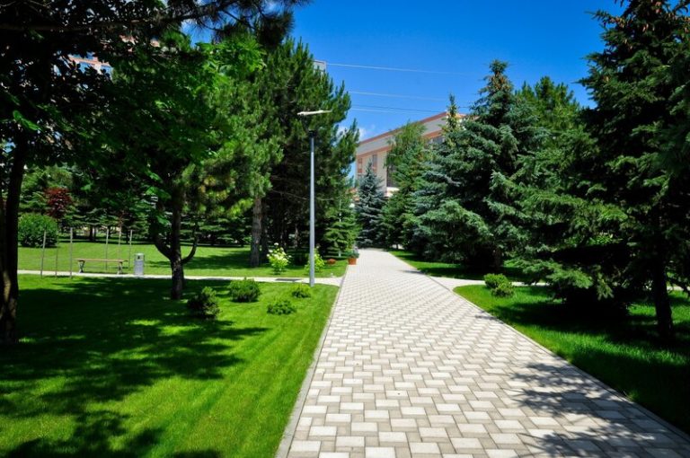 Профиль 3 2a00000173bd7e8ba522f87240507a0412b2 768x510