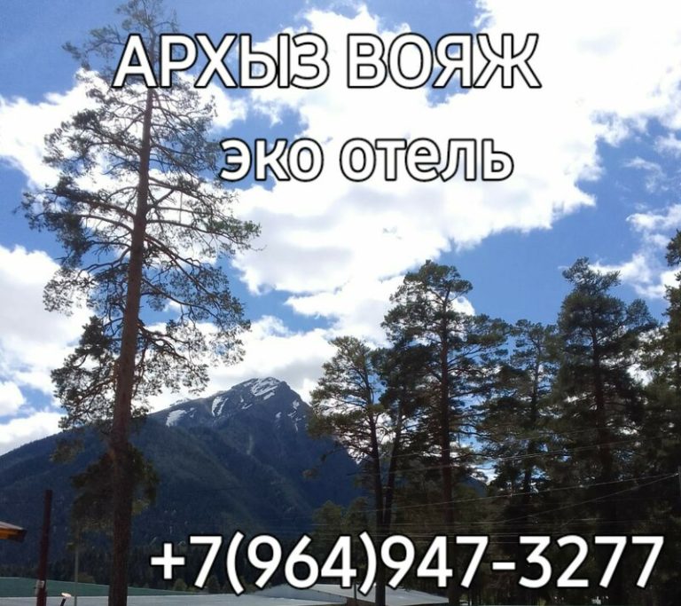 2a00000180dbf597c22c0ffb7e95d176cb2d 768x683