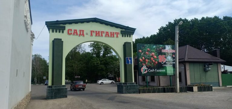 Профиль 3 2a00000196b5e66bde2d6d7d4d3ada89c55e 768x363