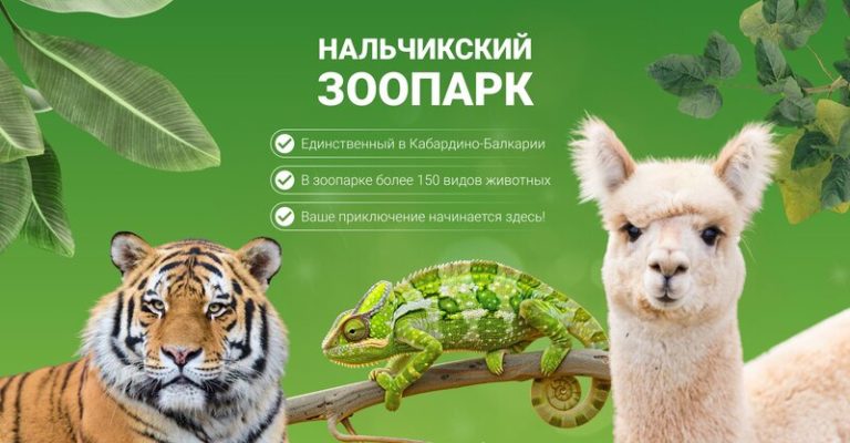 Профиль 6 2a0000019960ec9f90221e576699fca40cbf 768x400
