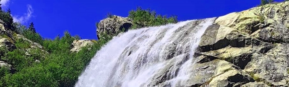 User banner image