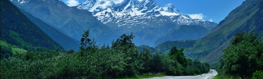 User banner image